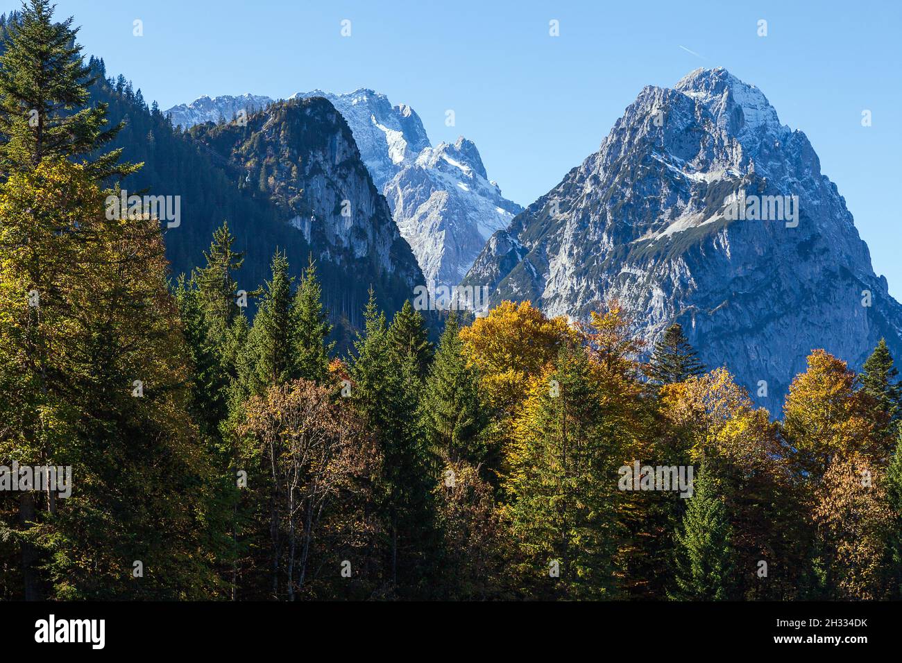 Foresta di montagna in autunno con montagne sullo sfondo Foto Stock