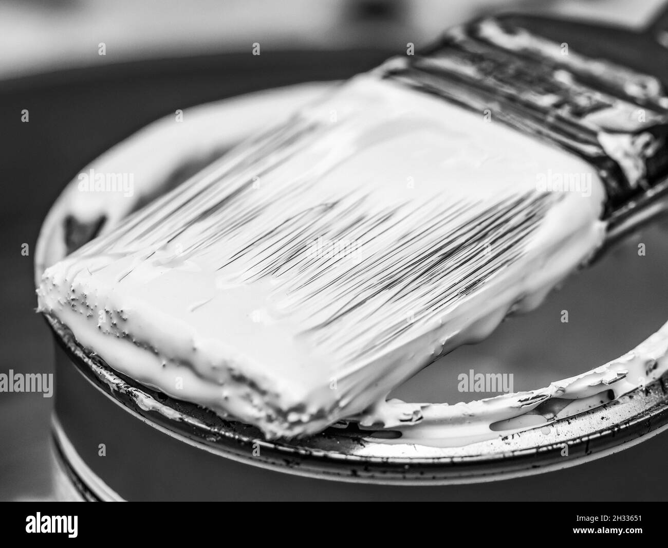 Pennello su una lattina di vernice bianca con tonalità di bianco e nero Foto Stock