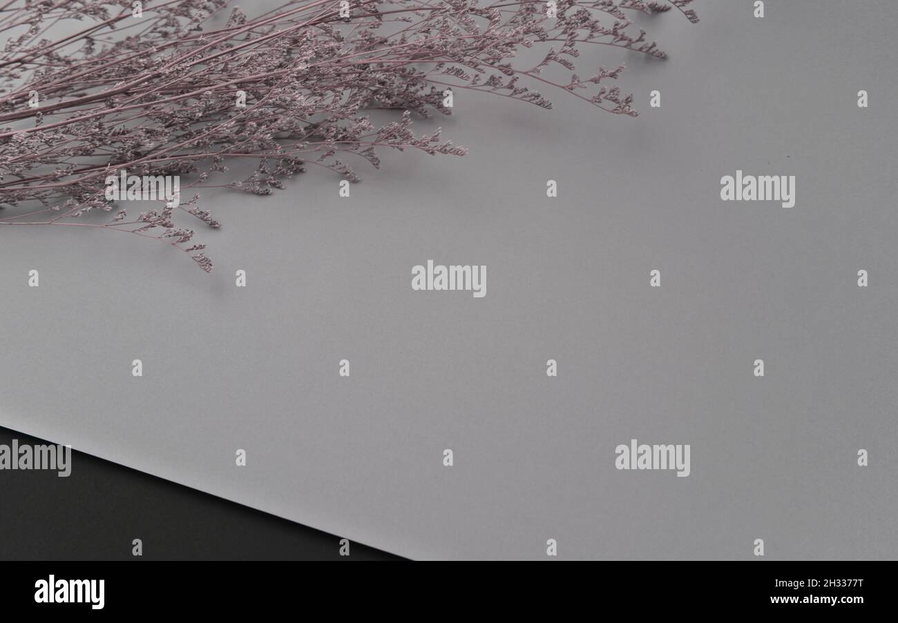 Secco bush viola & grigio fiori piatto su sfondo pastello grigio e nero texture astratto. Neutro, caduta, autunno muto tavolozza di colori minimal. Foto Stock
