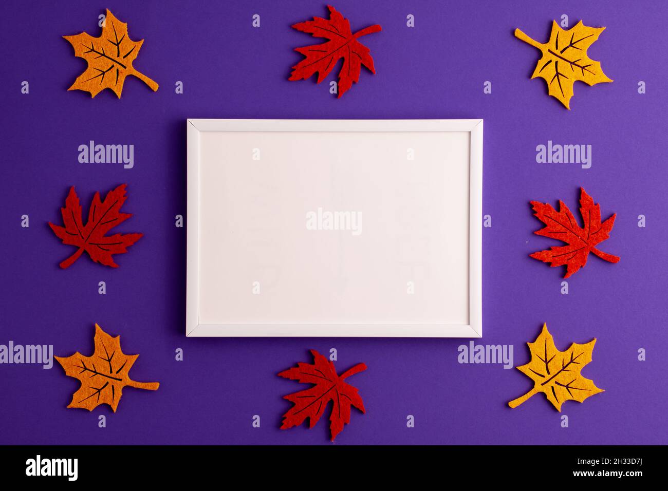 Foglie autunnali in feltro giallo e rosso e cornice su sfondo viola con spazio per la copia. Halloween paura vacanza e autunno concetto Foto Stock