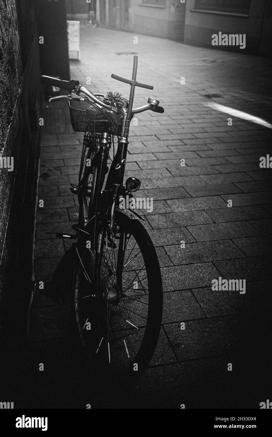 Scala di grigi verticale di una bicicletta Foto Stock
