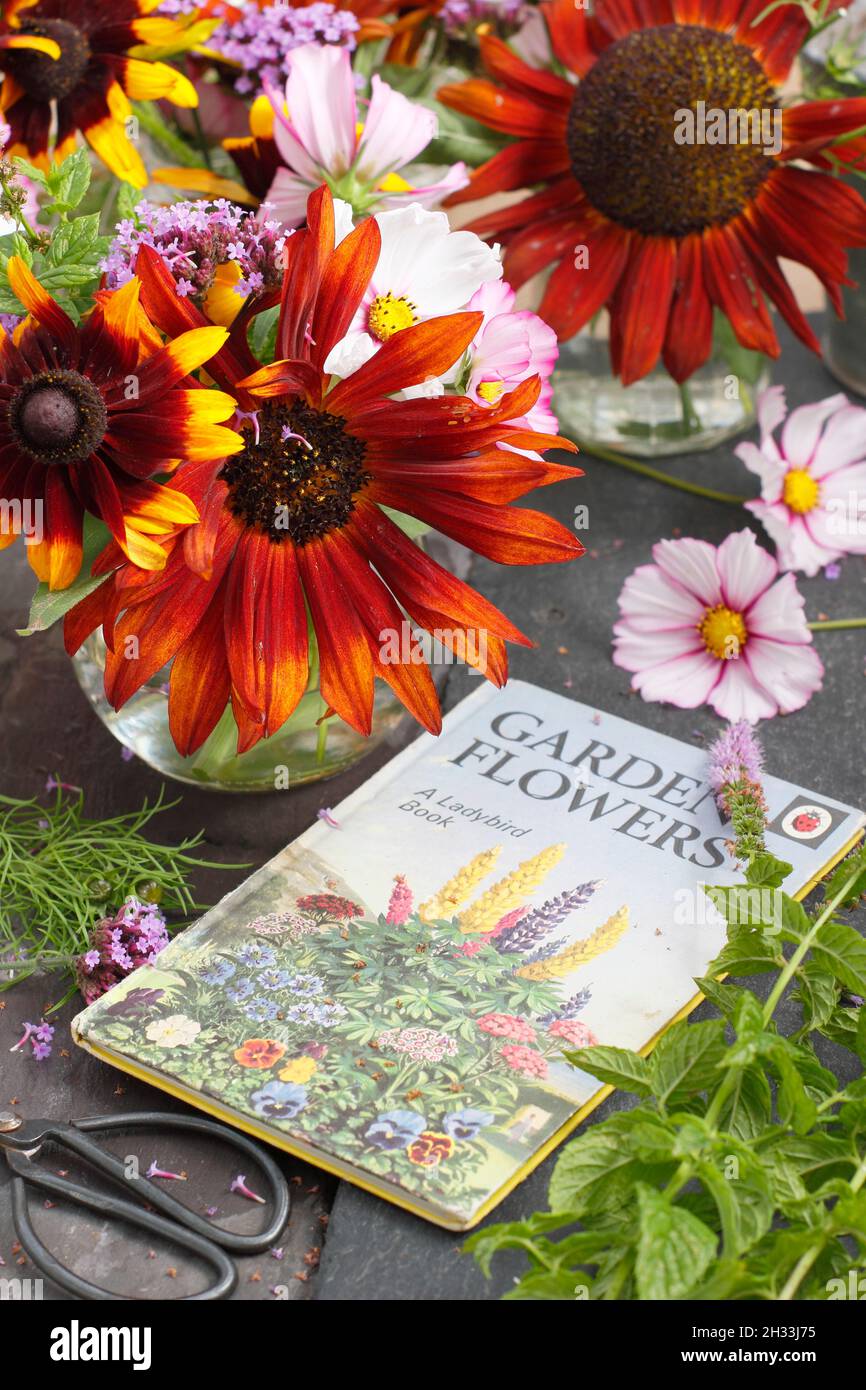 Fiori freschi recisi da giardino in vasetti di vetro riciclati con libro vintage Ladybird 'Garden Flowers'. REGNO UNITO Foto Stock