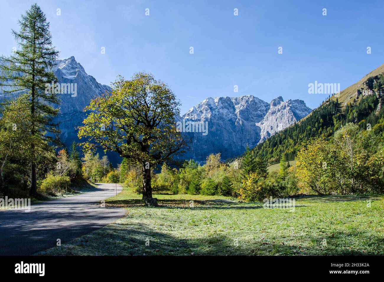L'altopiano degli Hinterriss e dell'Eng è una caratteristica panoramica speciale con l'Ahornboden, la più grande area di alberi di acero in tutte le Alpi Foto Stock