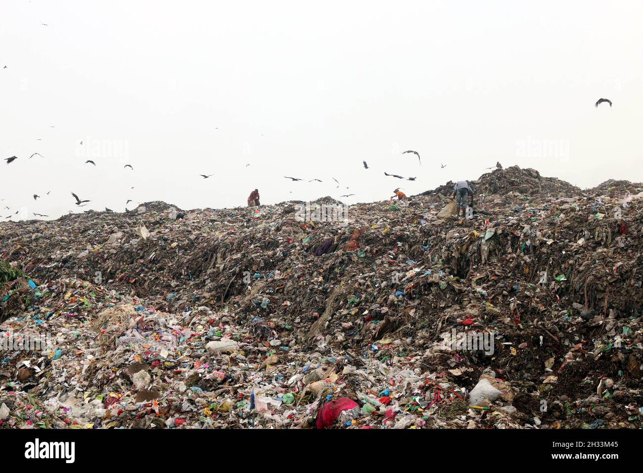 Persone raccolta rifiuti pick i rifiuti non biodegradabili da utilizzare per l'industria di riciclaggio in discarica sito a Dhaka molte persone vivono raccogliendo rifiuti dalle montagne di rifiuti che è generato quotidianamente, soprattutto dalla capitale di Dhaka. Il Bangladesh, l'ottavo paese più popoloso del mondo, ha attualmente un grave problema di inquinamento dovuto alla produzione di rifiuti solidi nelle aree urbane del Bangladesh, che equivale a circa 25,000 tonnellate al giorno. La città di Dhaka produce un quarto di tutti i rifiuti urbani del paese. Si prevede che i rifiuti solidi urbani totali aumentino fino a 47,000 tonnellate per Foto Stock