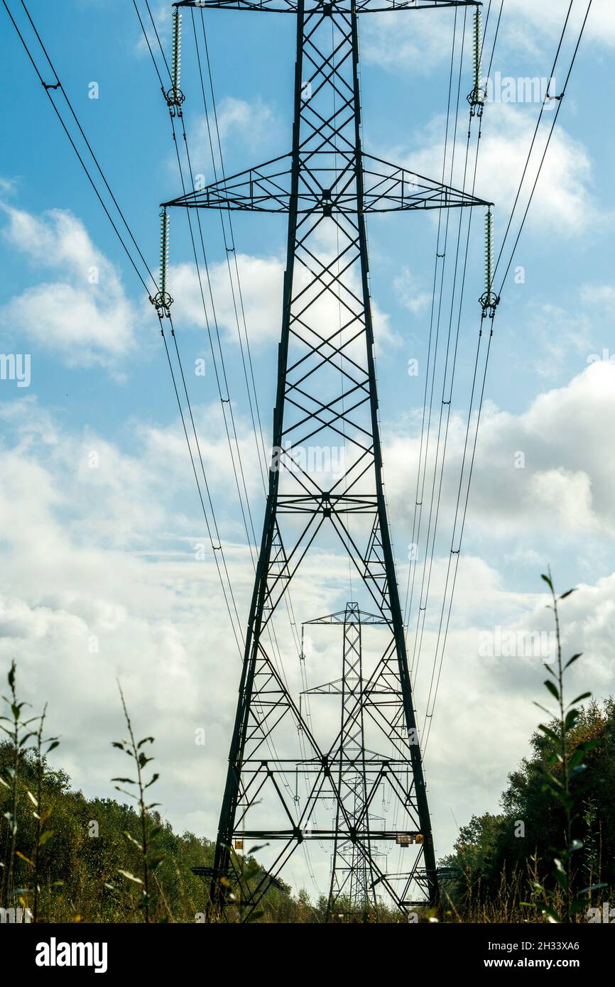 Pilone della rete nazionale del Regno unito con cavi di trasmissione sospesi, linee elettriche, che attraversano una rottura del fuoco in una foresta in Inghilterra. Foto Stock