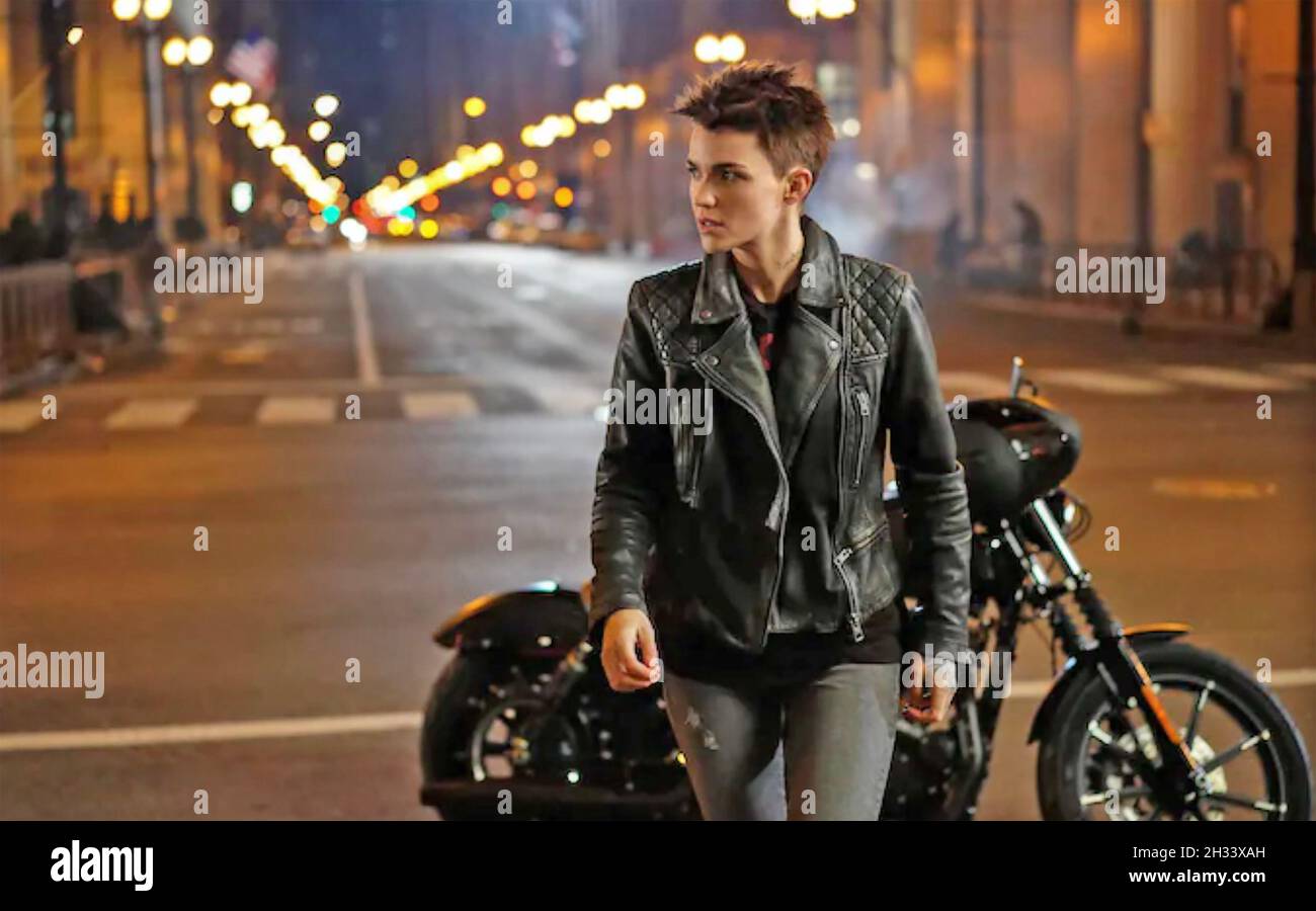 Ruby rose where immagini e fotografie stock ad alta risoluzione - Alamy