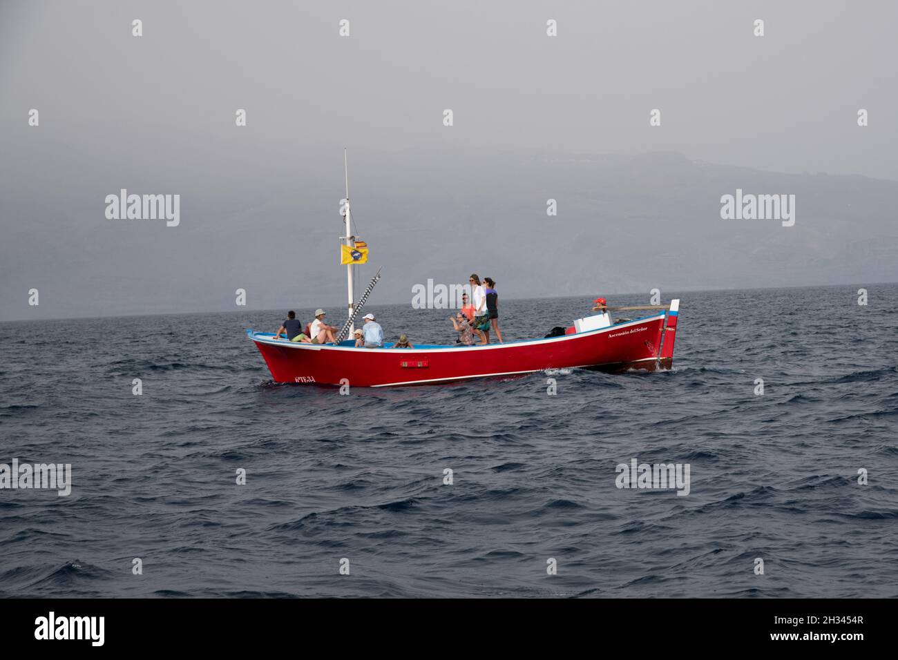 Nelle piccole barche da pesca i turisti guardano le balene pilota a alci che nuotano al largo della costa meridionale di la Gomera nelle Isole Canarie. Foto Stock