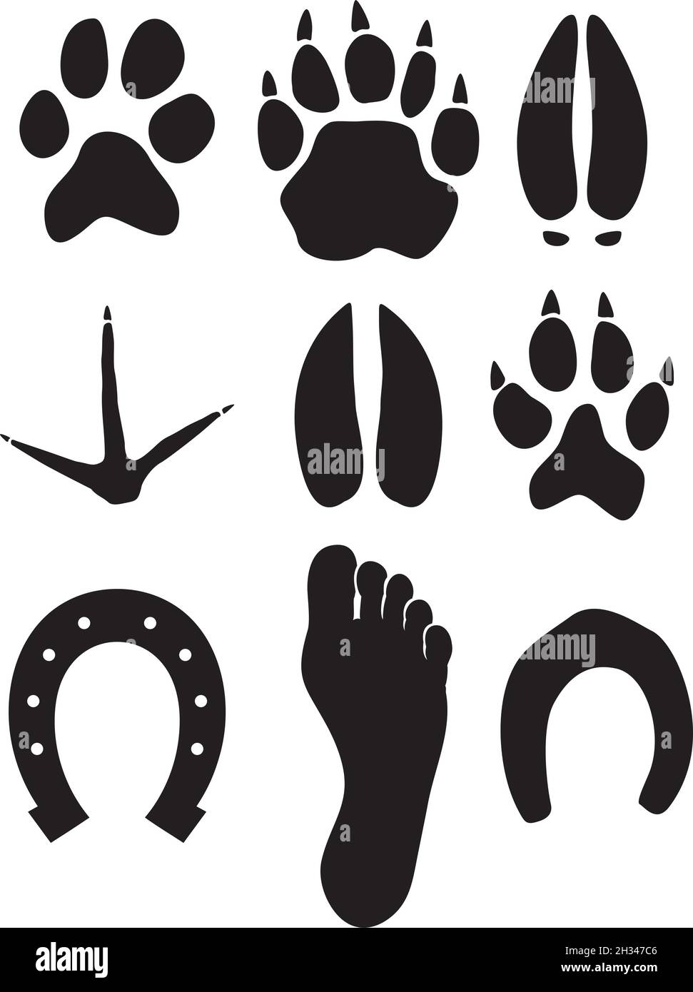 Paw consente di stampare un'illustrazione vettoriale Illustrazione Vettoriale