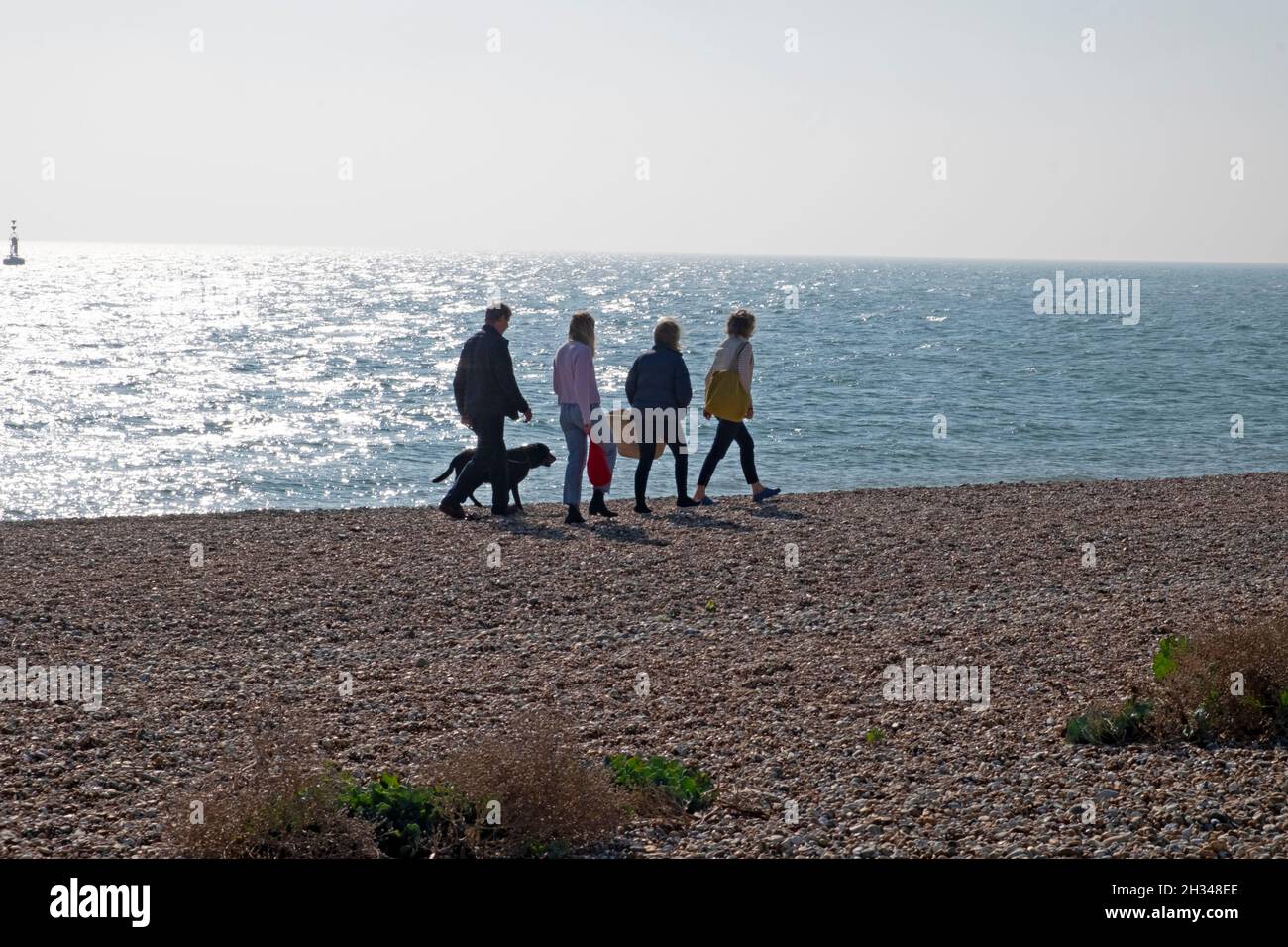Famiglia persone con cane a piedi sulla spiaggia ghiaiosa e vista del mare splendente in autunno ottobre Dungeness Kent Inghilterra Gran Bretagna Regno Unito KATHY DEWITT Foto Stock