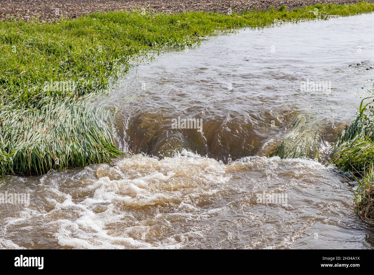 Acqua che scorre attraverso il campo di fattoria in corso d'acqua. Concetto di controllo dell'erosione, drenaggio e inquinamento idrico Foto Stock