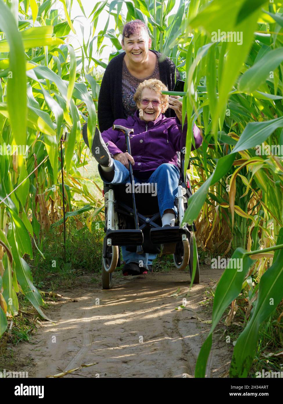 Figlia di mezza età che spinge la vecchia madre invecchiata intorno ad un labirinto di mais, avendo un sacco di divertimento, Regno Unito Foto Stock