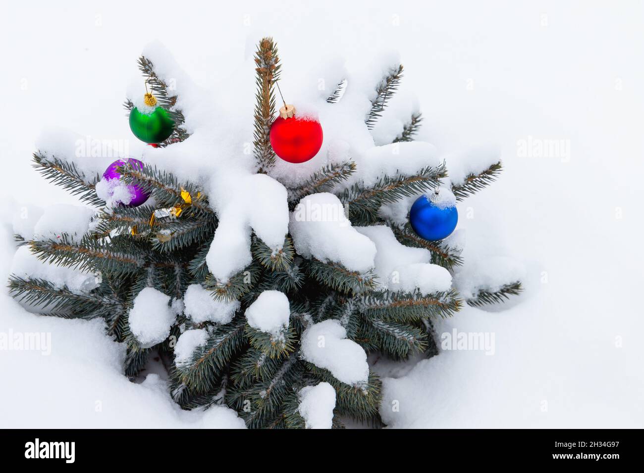 Piccolo albero di Natale cresce in una nevicata con palline colorate decorazione coperto di neve Foto Stock