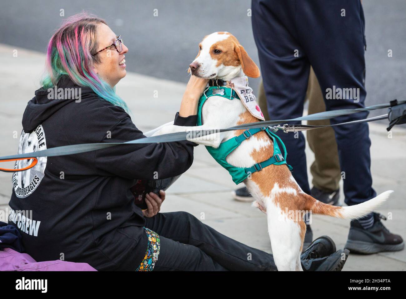 Westminster, Londra, Regno Unito. 25 ottobre 2021. Alcuni dei manifestanti hanno portato con sé i loro cani di salvataggio. Gli attivisti per i diritti degli animali e le campagne protestano oggi in Piazza del Parlamento per "liberare le aquile MBR" a MBR Acres a Wyton, Cambridgeshire, una struttura che alleva cani per la ricerca di laboratorio. Credit: Imagplotter/Alamy Live News Foto Stock