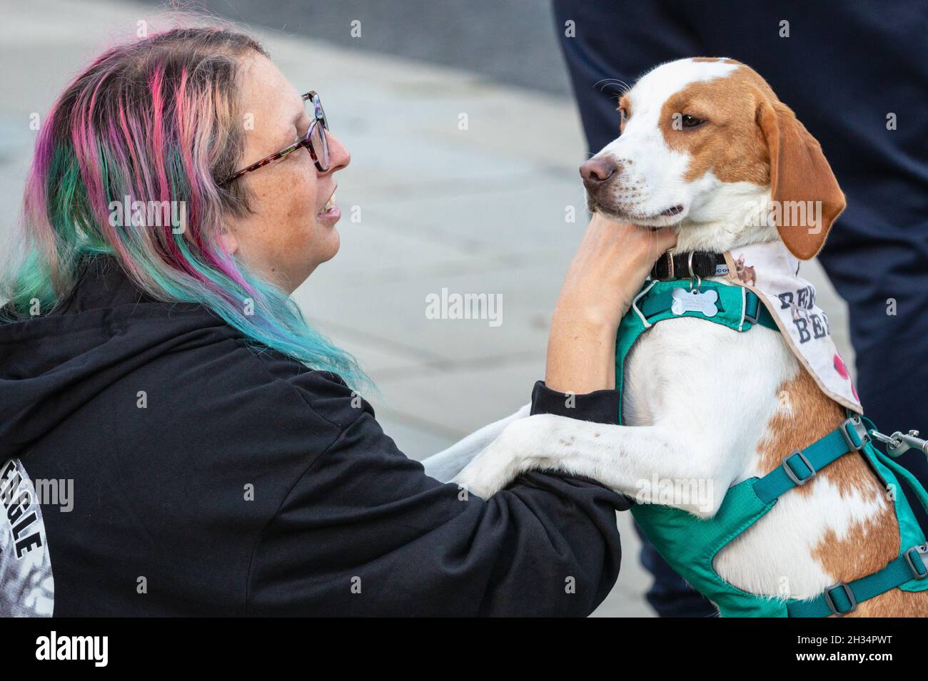 Westminster, Londra, Regno Unito. 25 ottobre 2021. Alcuni dei manifestanti hanno portato con sé i loro cani di salvataggio. Gli attivisti per i diritti degli animali e le campagne protestano oggi in Piazza del Parlamento per "liberare le aquile MBR" a MBR Acres a Wyton, Cambridgeshire, una struttura che alleva cani per la ricerca di laboratorio. Credit: Imagplotter/Alamy Live News Foto Stock