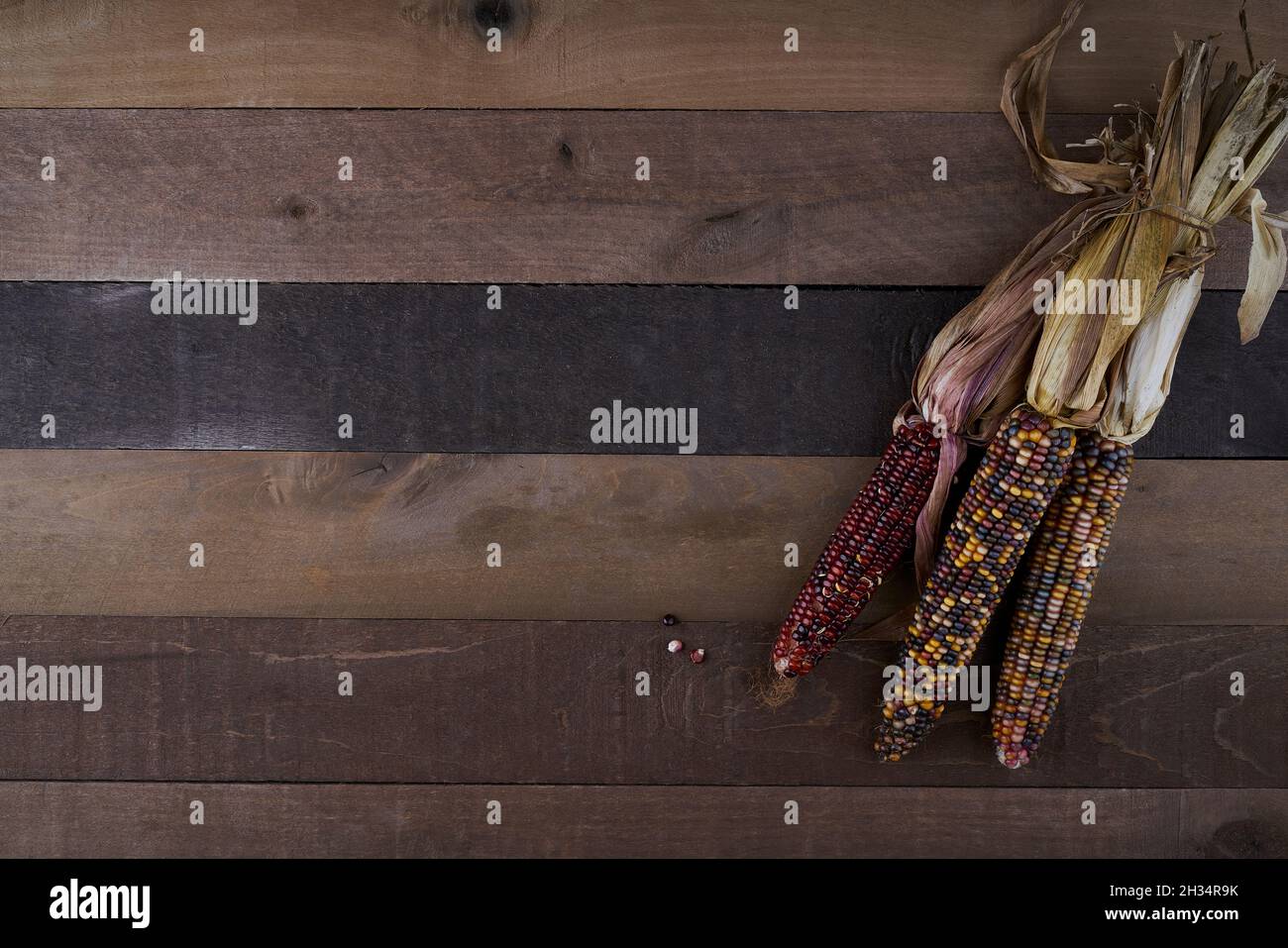 Una fotografia di selce, o di mais indiano in cima a legno rustico fienile con spazio copia Foto Stock