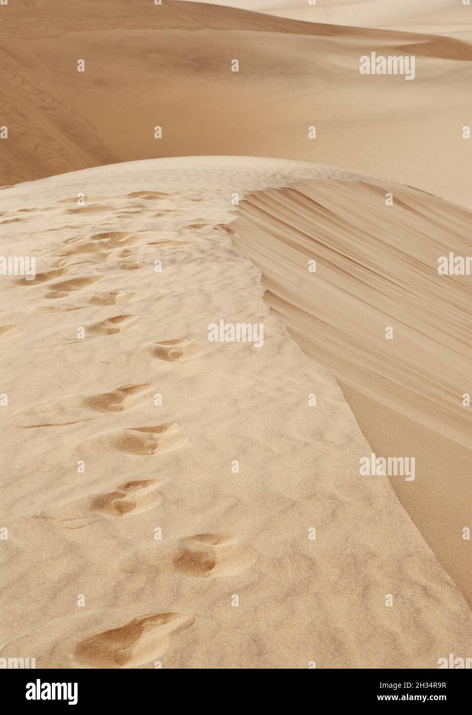 Impronte in una sabbia desertica nel deserto del Namib, Namibia Foto Stock