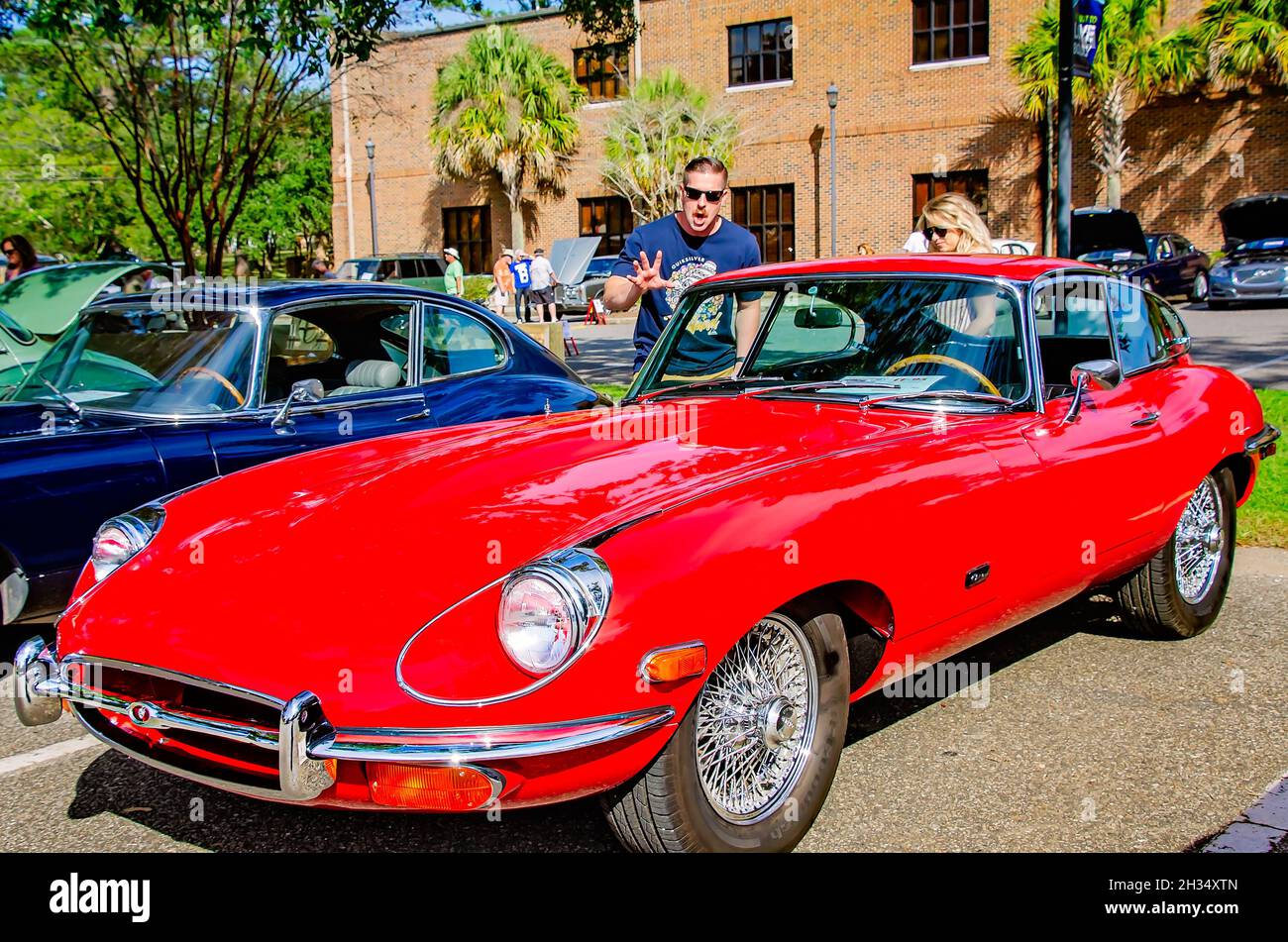 Gli appassionati di auto ispezionano una Jaguar e-Type FHC 1971 al 31 Festival annuale dell'auto britannica, 24 ottobre 2021, a Fairhope, Alabama. Foto Stock