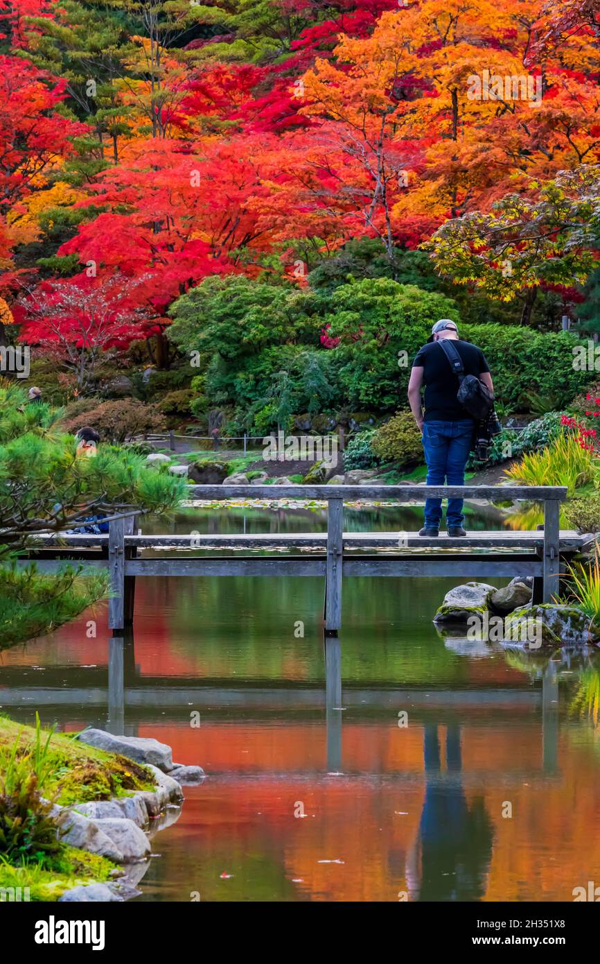 Grazioso laghetto a Seattle Japanese Garden, Seattle, Washington state, USA [Nessun modello rilasciato; solo licenza editoriale] Foto Stock