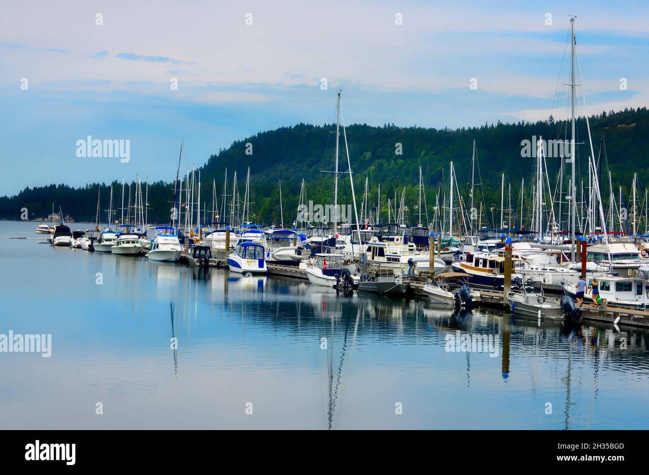 Barche ormeggiate al porto turistico di Ladysmith, sull'isola di Vancouver, British Columbia Canada Foto Stock