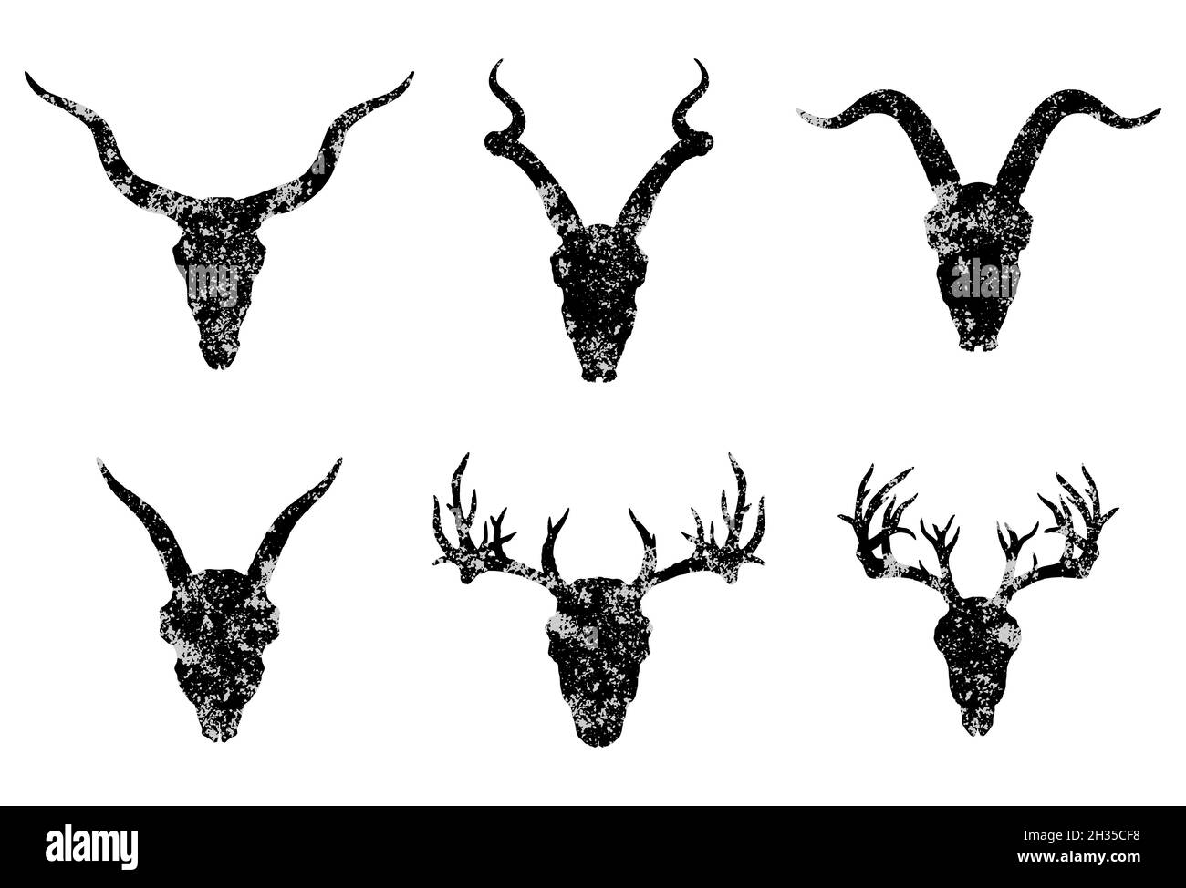 Insieme vettoriale di sei teschi di animali cornati disegnati a mano: Antilopi, cervi e capre su sfondo bianco. Silhouette nere con texture grunge nella vecchia sk Illustrazione Vettoriale
