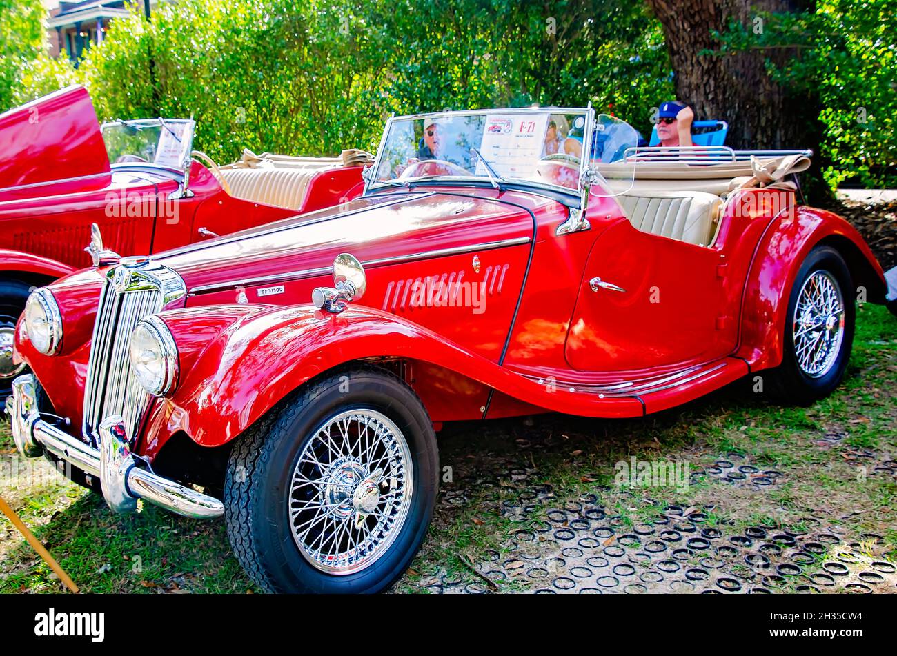 Un 1955 MG TF 1500 Midget è esposto al 31 Festival annuale British Car, 24 ottobre 2021, a Fairhope, Alabama. Foto Stock