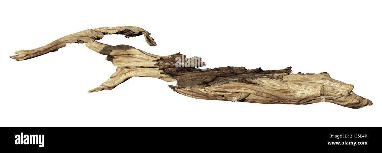 driftwood, mucchio di rami morti isolato su sfondo bianco Foto Stock