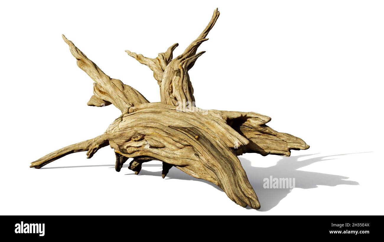 driftwood, mucchio di rami morti isolato su sfondo bianco Foto Stock