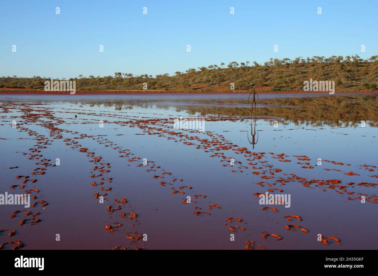Lago Ballard sale lago, di solito secco, ma qui bagnato e mostrando impronte, e una delle statue installato da Antony Gormley in Australia occidentale Foto Stock