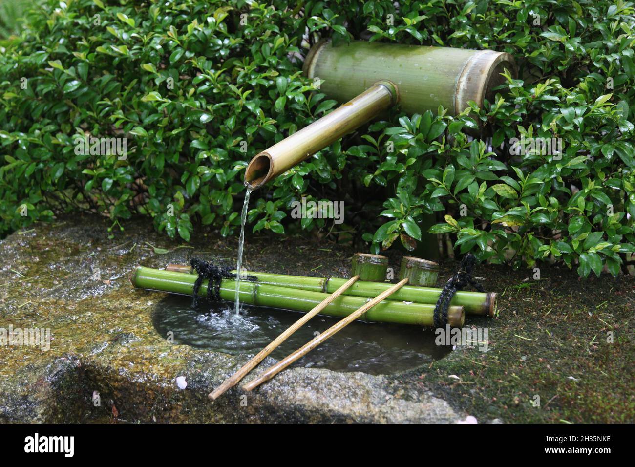 Sorgente d'acqua tradizionale con bambù in Giappone. Temizu-ya è un padiglione d'acqua Shinto per un rito di purificazione cerimoniale noto come temizu o chōzu Foto Stock