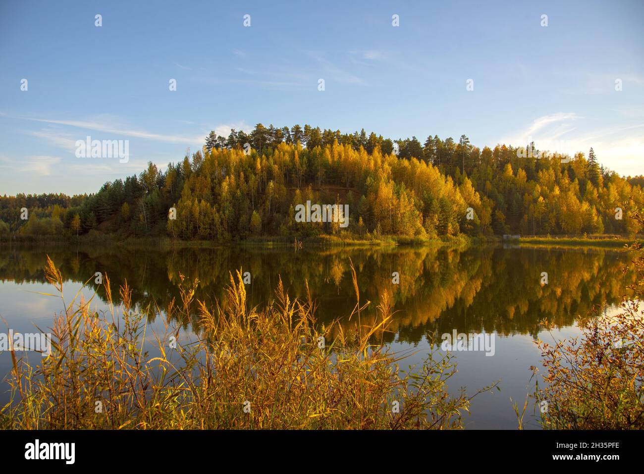 La foresta giallognola si riflette sulla superficie del lago, illuminata dalla luce del sole. Paesaggio autunnale. Foto Stock