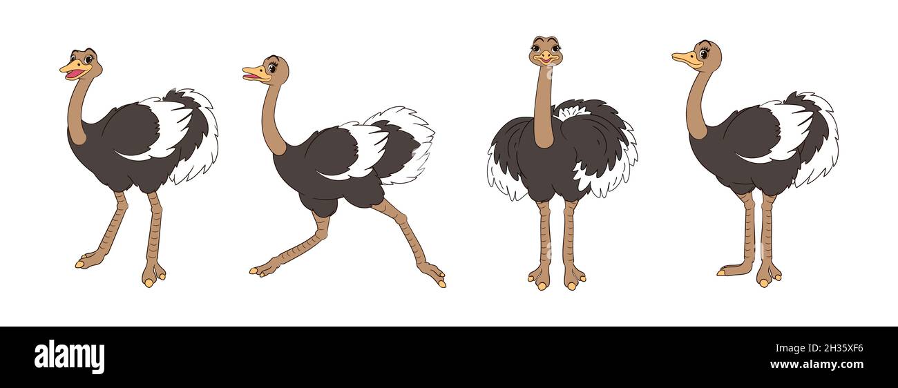 Struzzi carini a zampe lunghe, un set di figure, in piedi, in corsa e urlando. Illustrazione vettoriale delle linee d'arte, in stile cartoon Illustrazione Vettoriale
