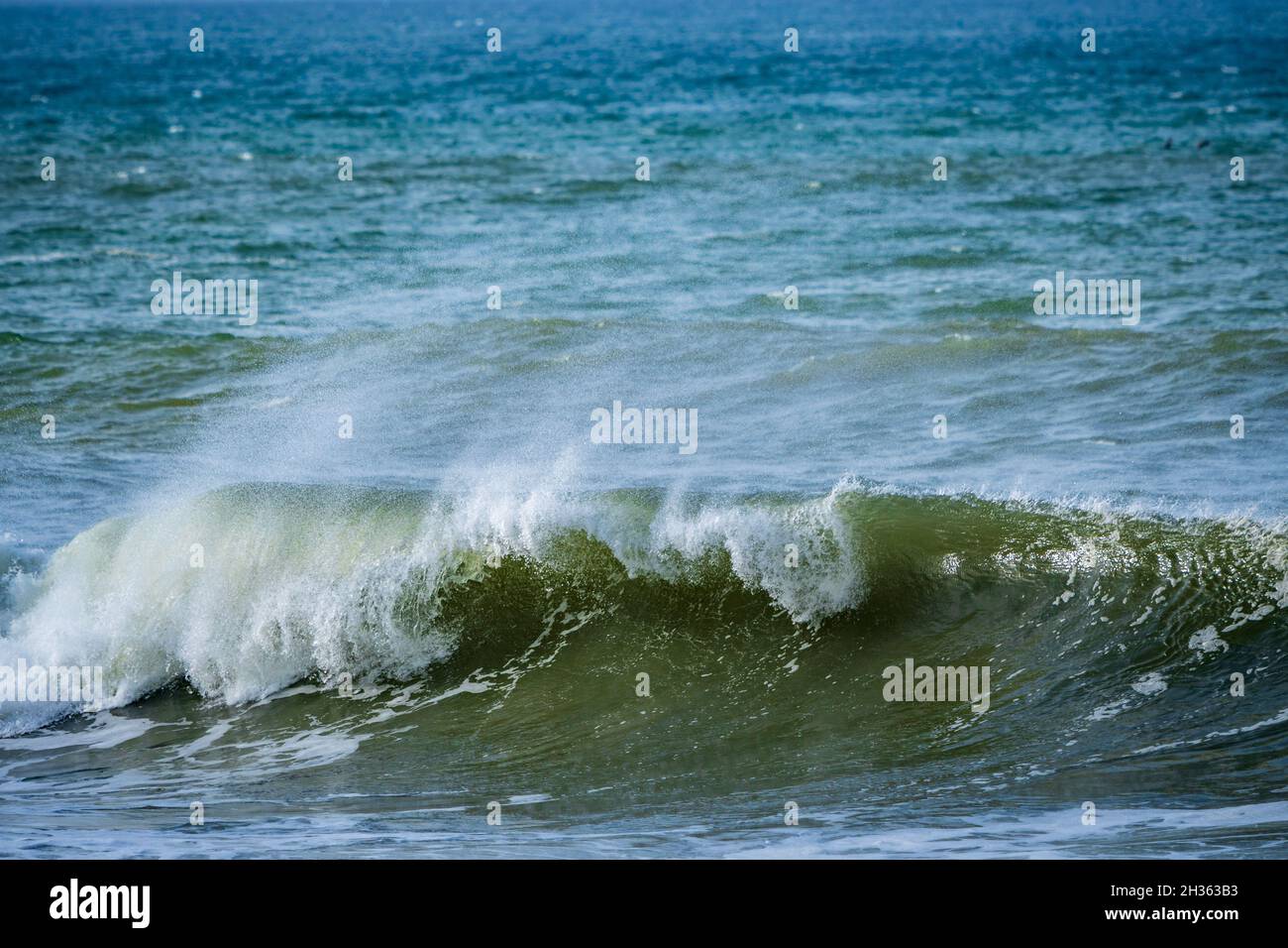 Belle onde oceaniche di prima mattina con spruzzi sono stati spazzati da forti venti. Hermanus. Whale Coast. Overberg. Capo Occidentale. Sudafrica Foto Stock