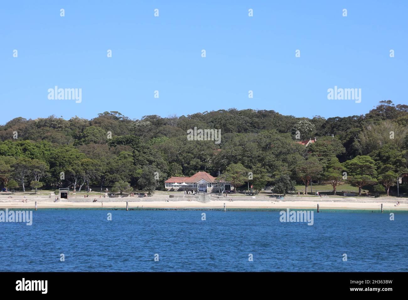 Shark Beach a Vaucluse Bay, Vaucluse, Sydney, NSW, Australia Foto Stock