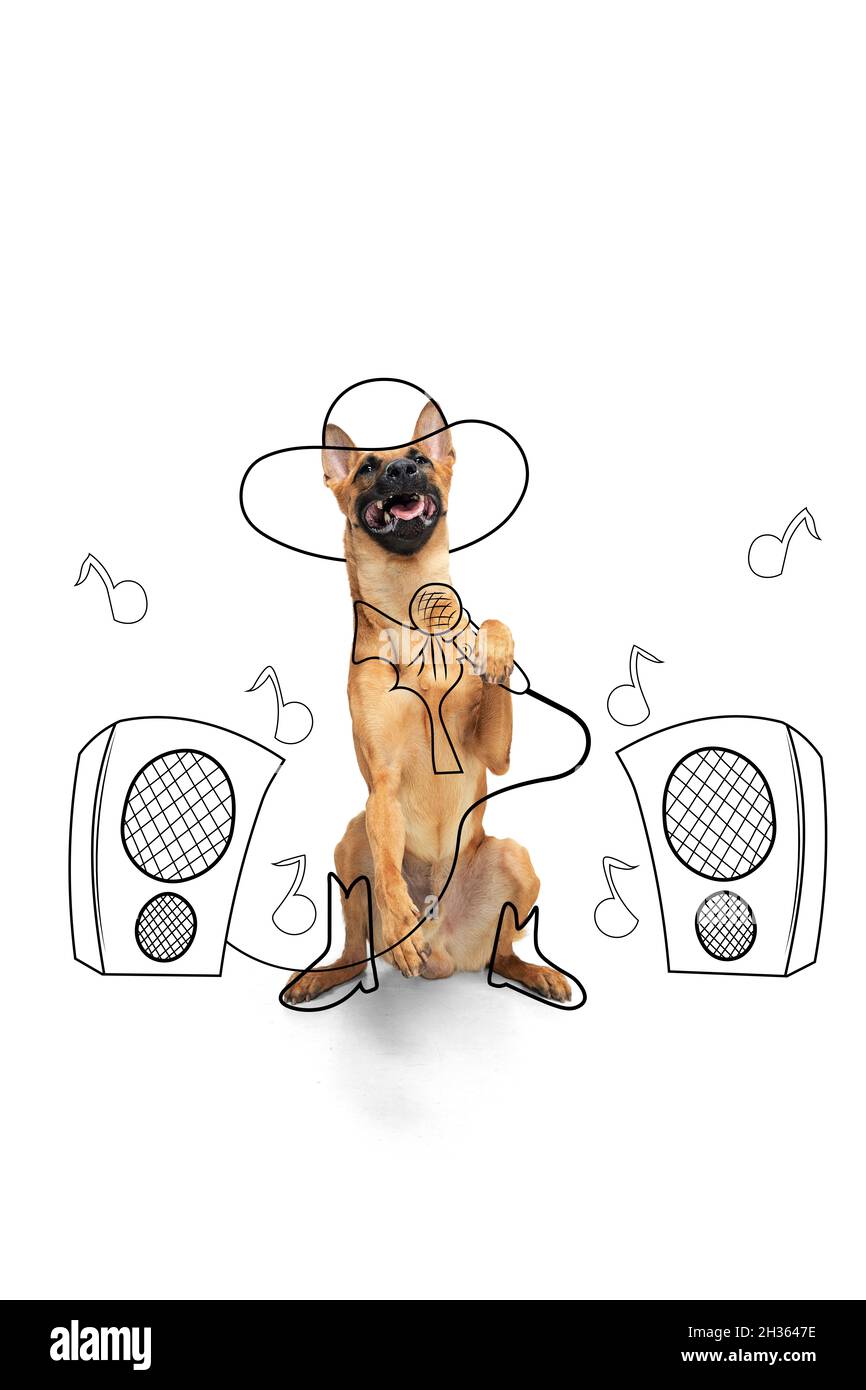 Illustrazione. Un cane di razza carino in immagine di cantante pop isolato su sfondo bianco studio con disegni. Foto Stock