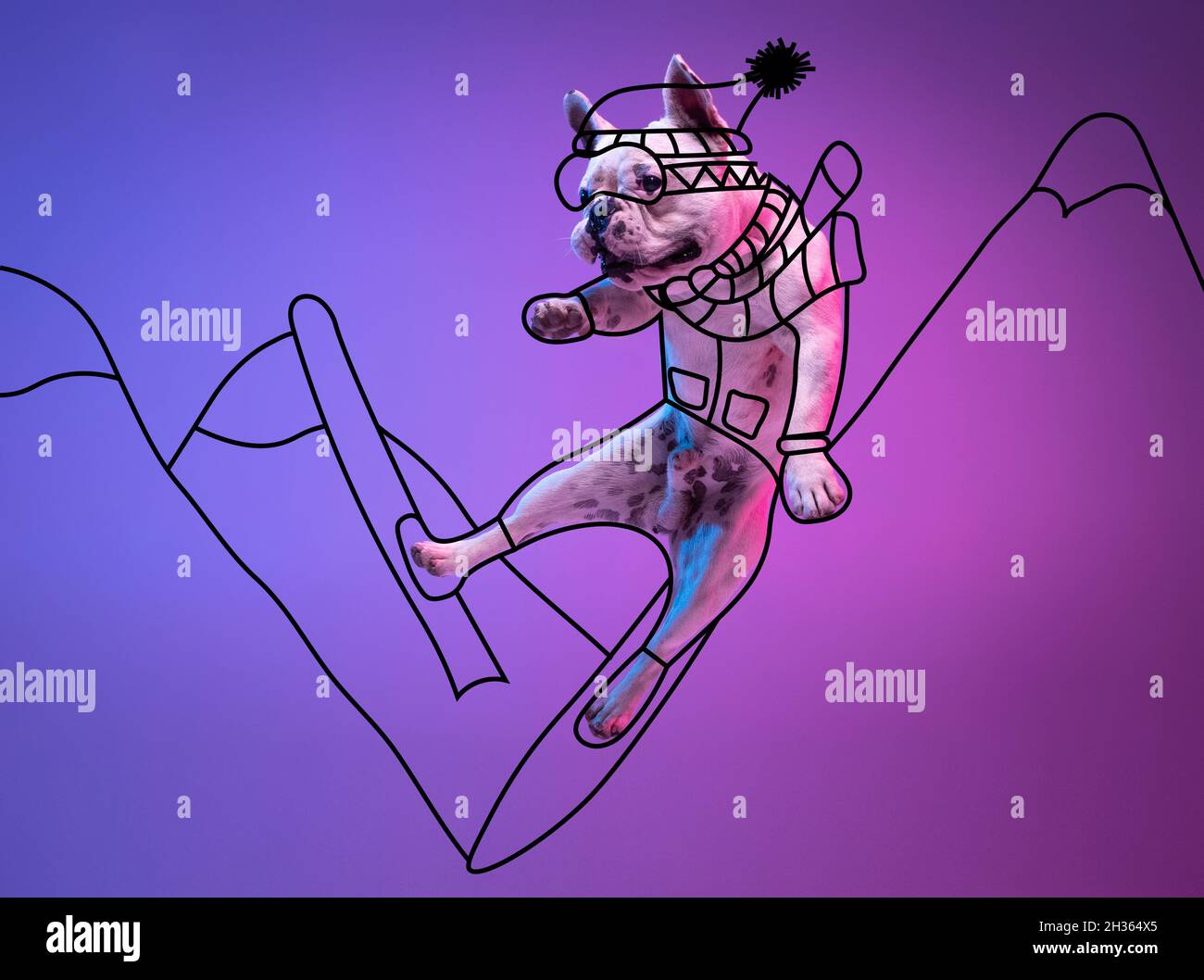 Illustrazione. Un carino cane piccolo, bulldog sci isolato su gradiente neon rosa blu studio sfondo con disegni. Foto Stock