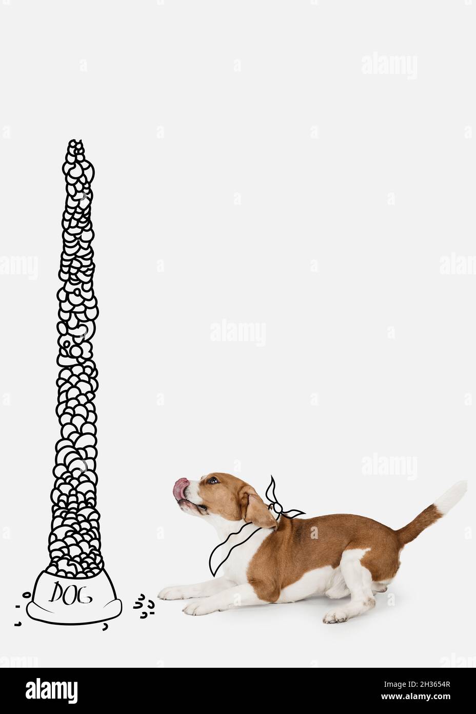 Opere d'arte contemporanea. Un cane carino, Beagle degustazione enorme montagna di alimentazione isolato su sfondo bianco studio. Foto Stock