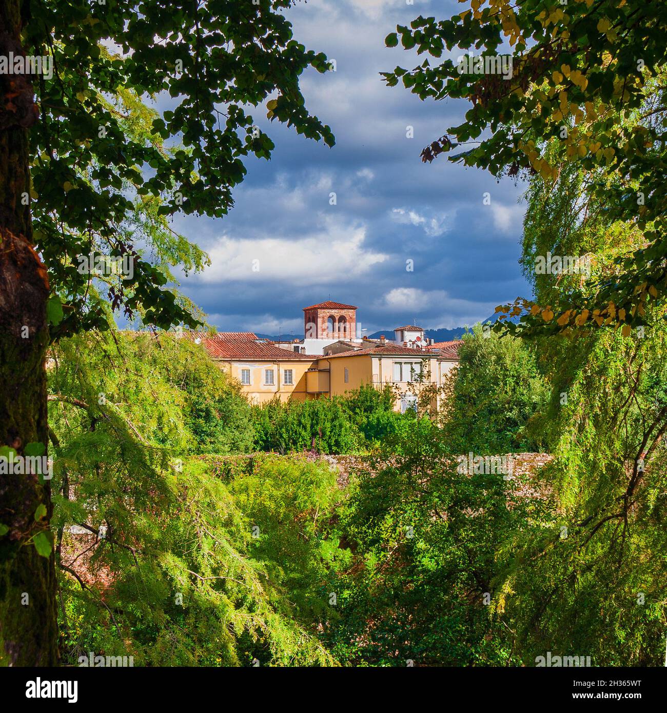 Natura e ambiente a Lucca. Vista dei vecchi edifici del centro storico attraverso rami di alberi con foglie verdi e gialle Foto Stock