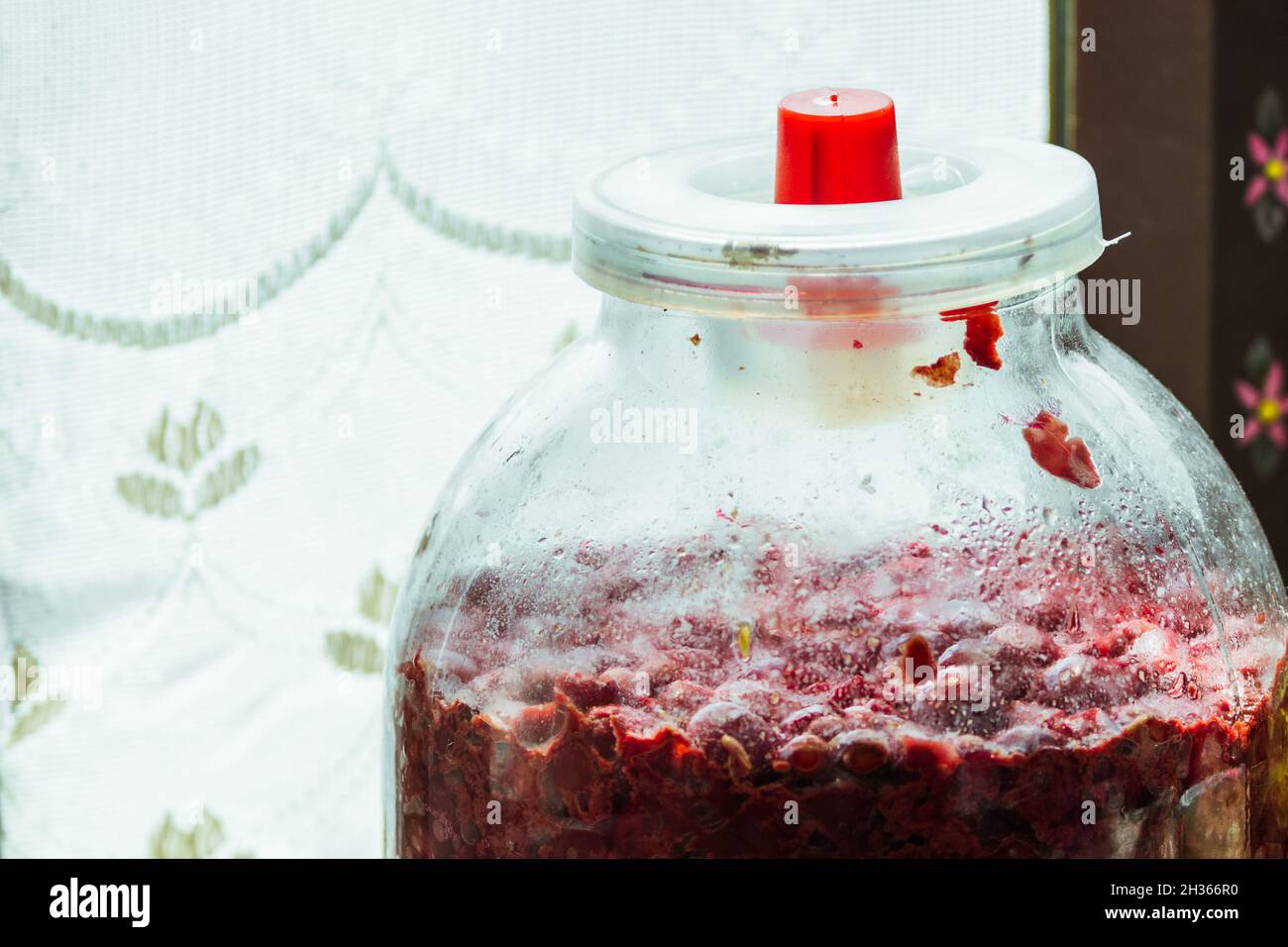 Produzione del vino in un bicchiere a casa. Foto Stock