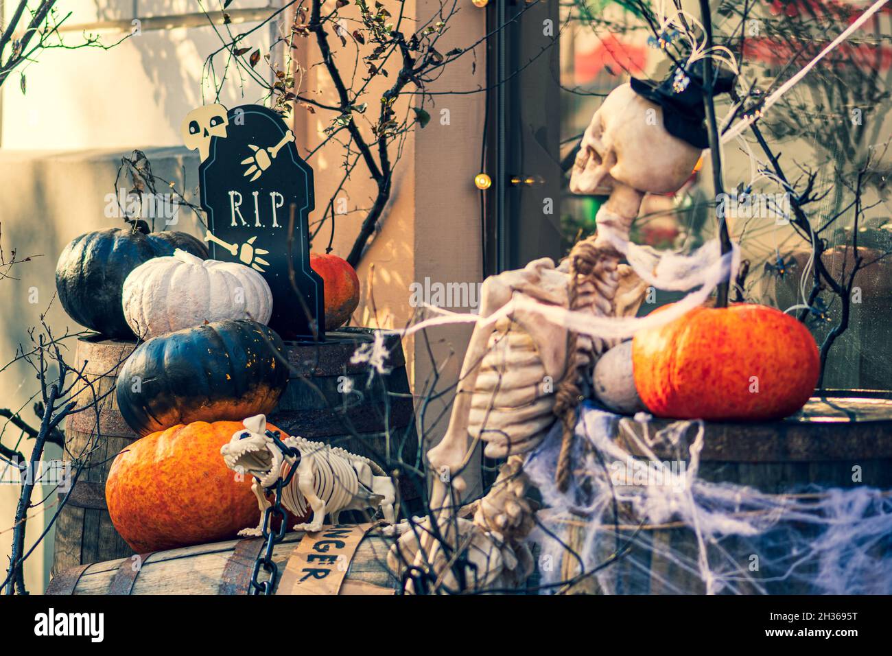 Sfondo di Halloween con zucche di Halloween arancioni, bianche e nere, scheletro di uomo e cane, tomba con la parola RIP e cobbweys Foto Stock