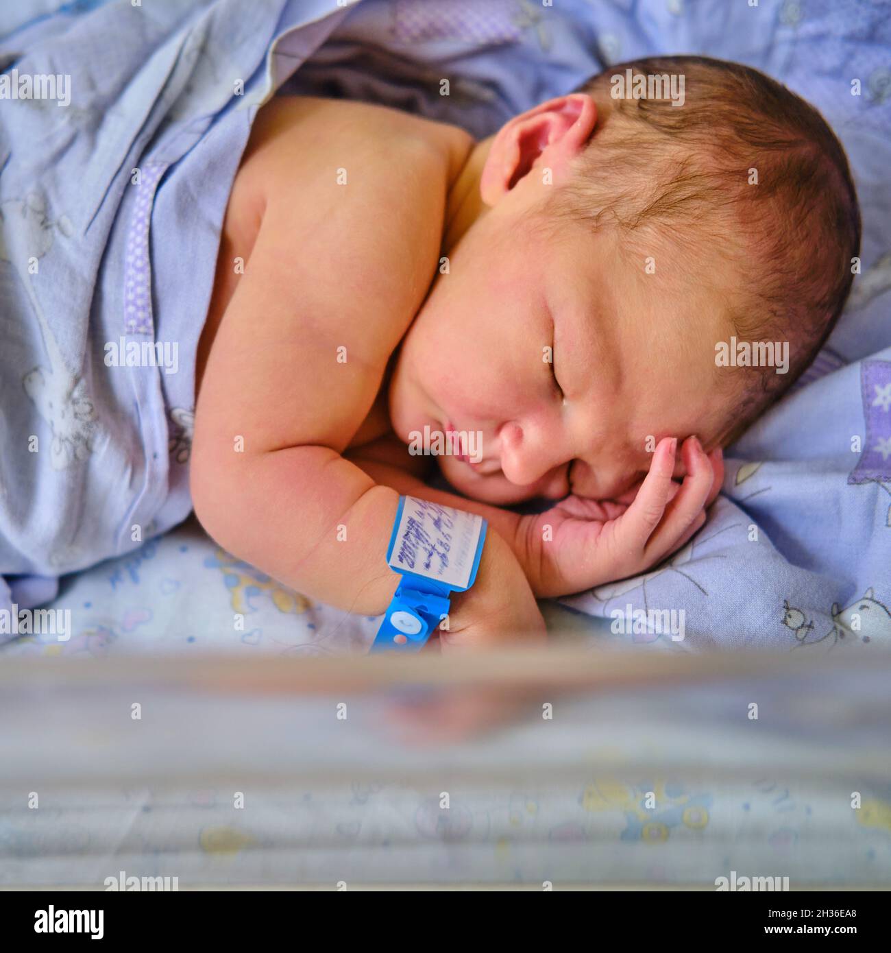 Un neonato con un braccialetto dell'ospedale di maternità sul braccio sta  dormendo in una culla. Un bambino appena nato in un letto di clinica dietro  un vetro trasparente Foto stock - Alamy