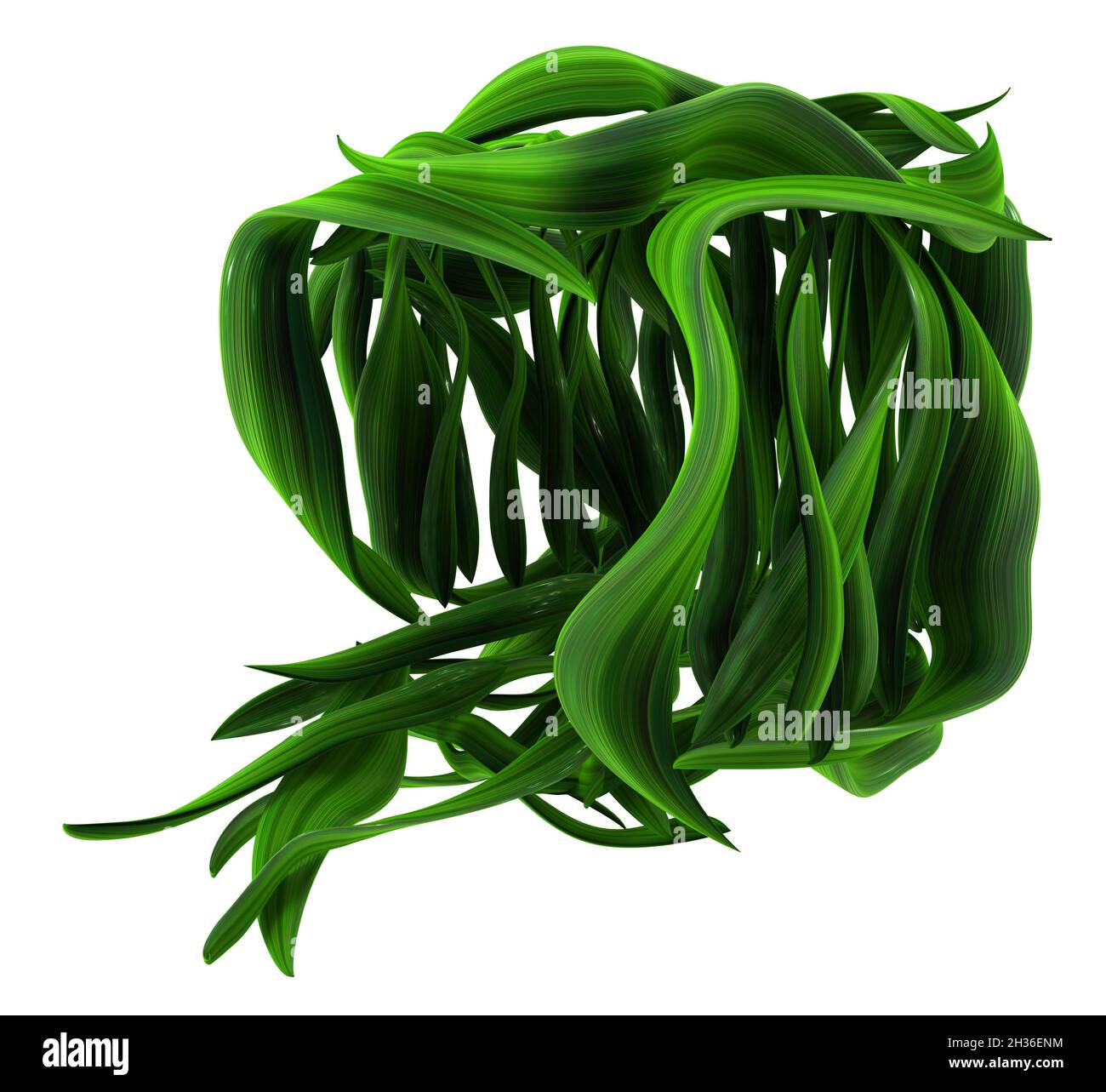 Pianta viti verde crescente foglia forma casella aperta, illustrazione 3d, orizzontale, isolato, su bianco Foto Stock