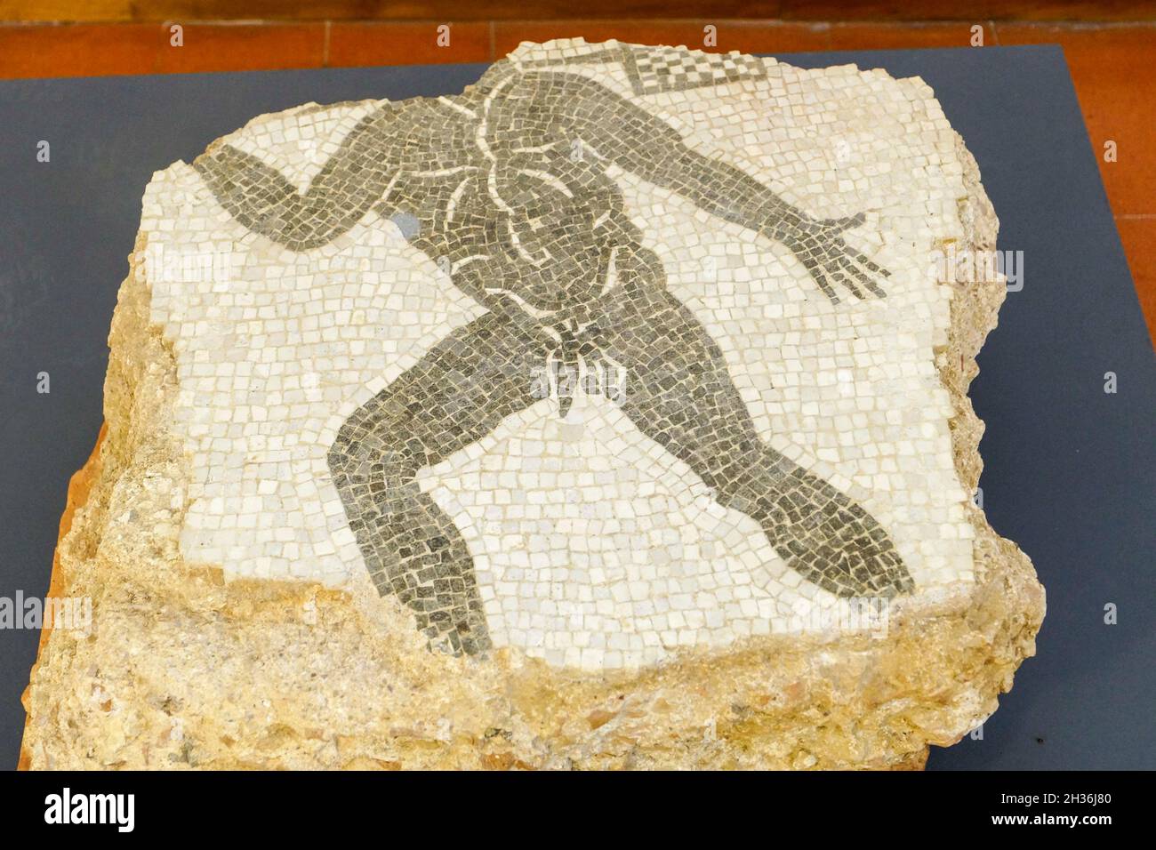Patrimonio dell'umanità dell'UNESCO, Museo Archeologico Nazionale, Mosaico con figura maschile dal pavimento di un centro termale, Spoleto, Umbria, Italia, Europa Foto Stock