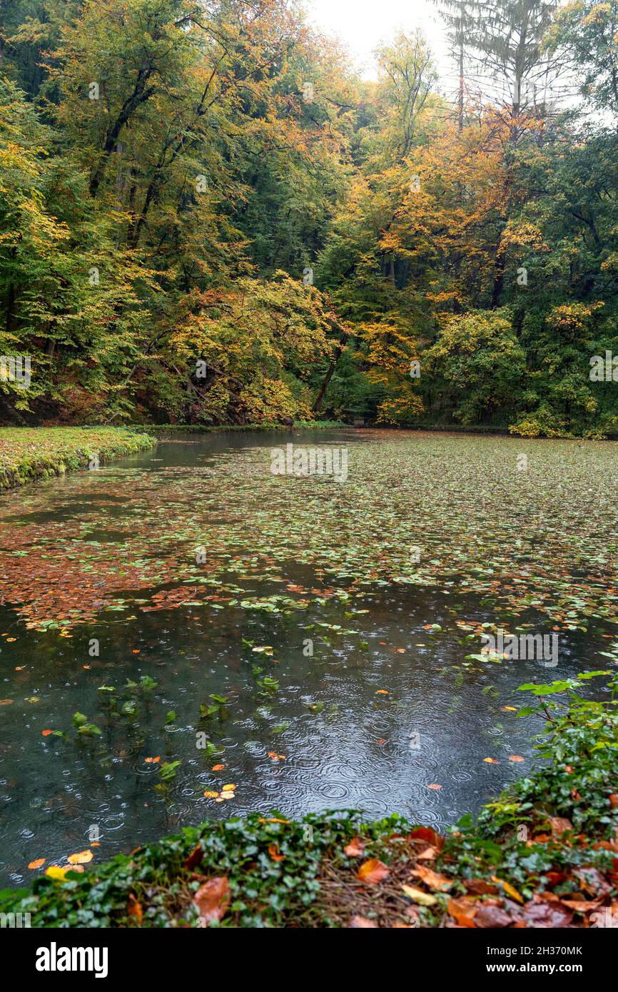 Valle Szalajka Szilvasvarad Ungheria in una giornata d'autunno piovosa con gocce di pioggia su un lago Foto Stock