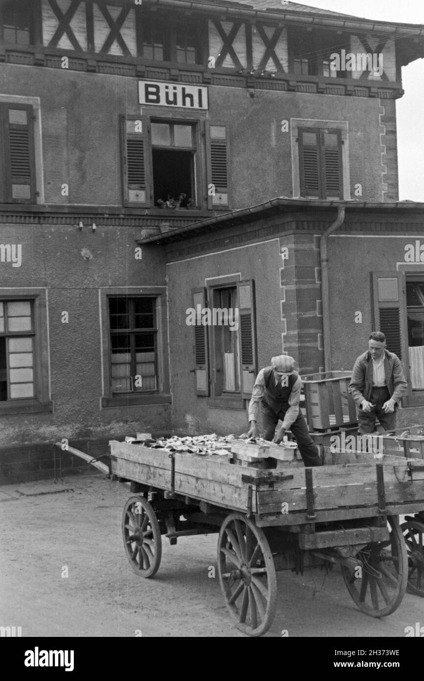 Verladen der Erdbeerernte Güterzüge auf der Deutschen Reichsbahn am Bahnhof a Bühl, Deutschland 1930er Jahre. I treni di carico con fragole messe a Bühl. Stazione, Germania 1930s. Foto Stock