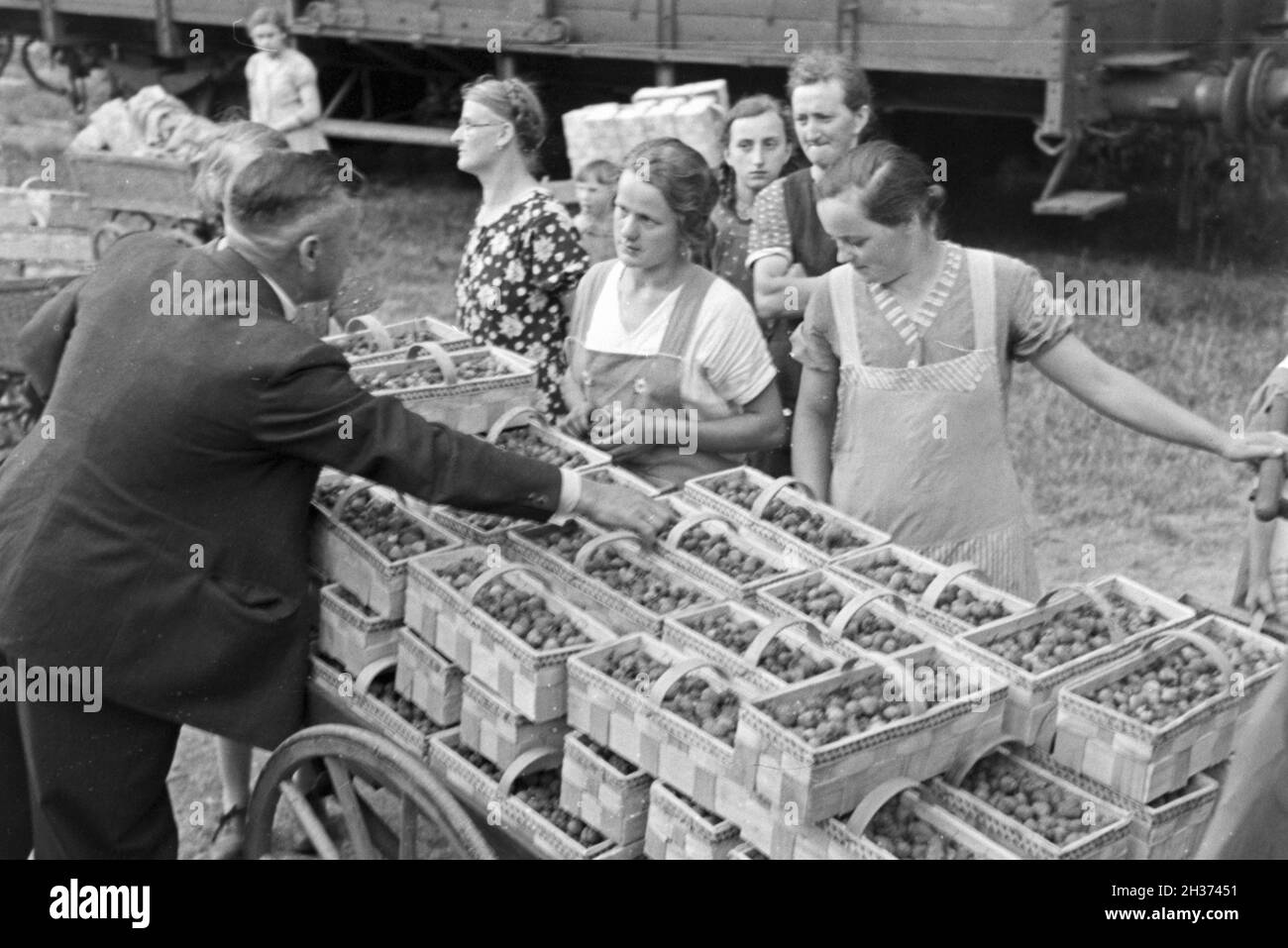 Erntehelfer bei der Erdbeerernte a Bühl, Deutschland 1930er Jahre. Fattoria stagionali operaio per la raccolta di fragole a Buehl, Germania 1930s. Foto Stock