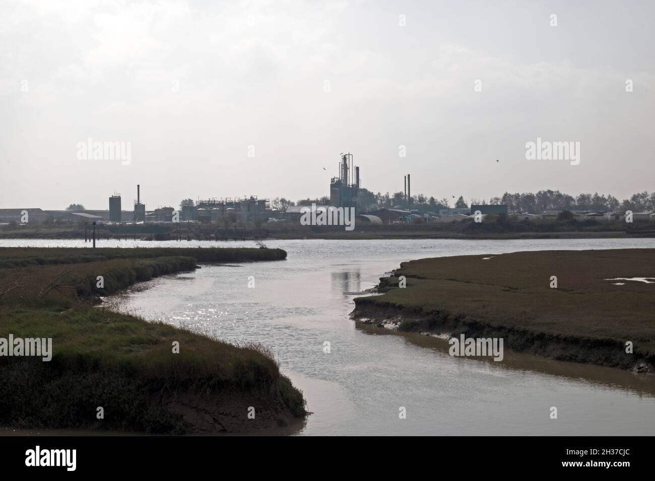 Vista di Tradbe Solvent Recycling Plant sul Rother River Rye East Sussex Kent Inghilterra UK KATHY DEWITT Foto Stock