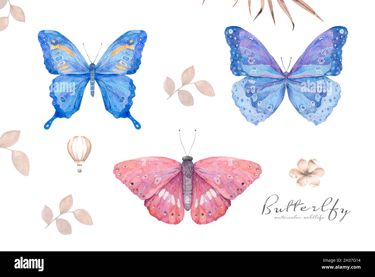 Acquerello colorato naturale con farfalla. Farfalle blu e rosa illustrazione isolata su sfondo bianco Foto Stock