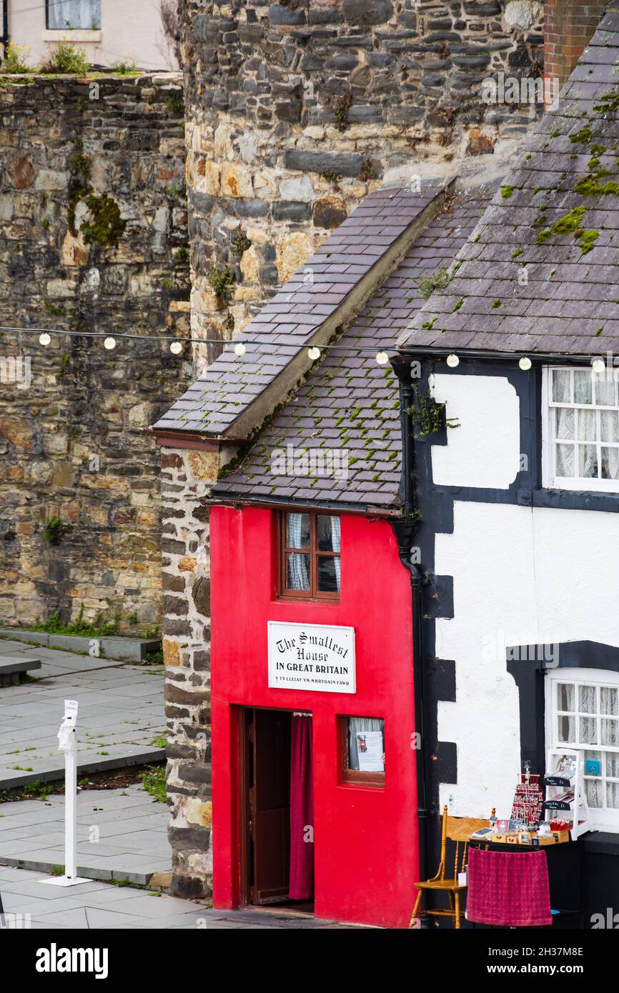 Casa più piccola britannica sulla banchina, Conwy, Clwyd, Galles. Dipinto di rosso. Guiness libro di dischi. Foto Stock