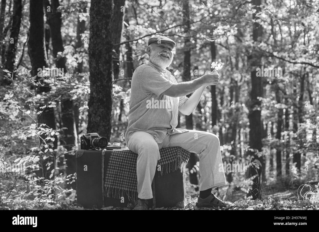 Viaggio di pensionamento e hobby. Uomo anziano relax in autunno legno. I pensionati godono di aria fresca sul paesaggio autunnale. Si raccoglie studiando foglie di acero Foto Stock