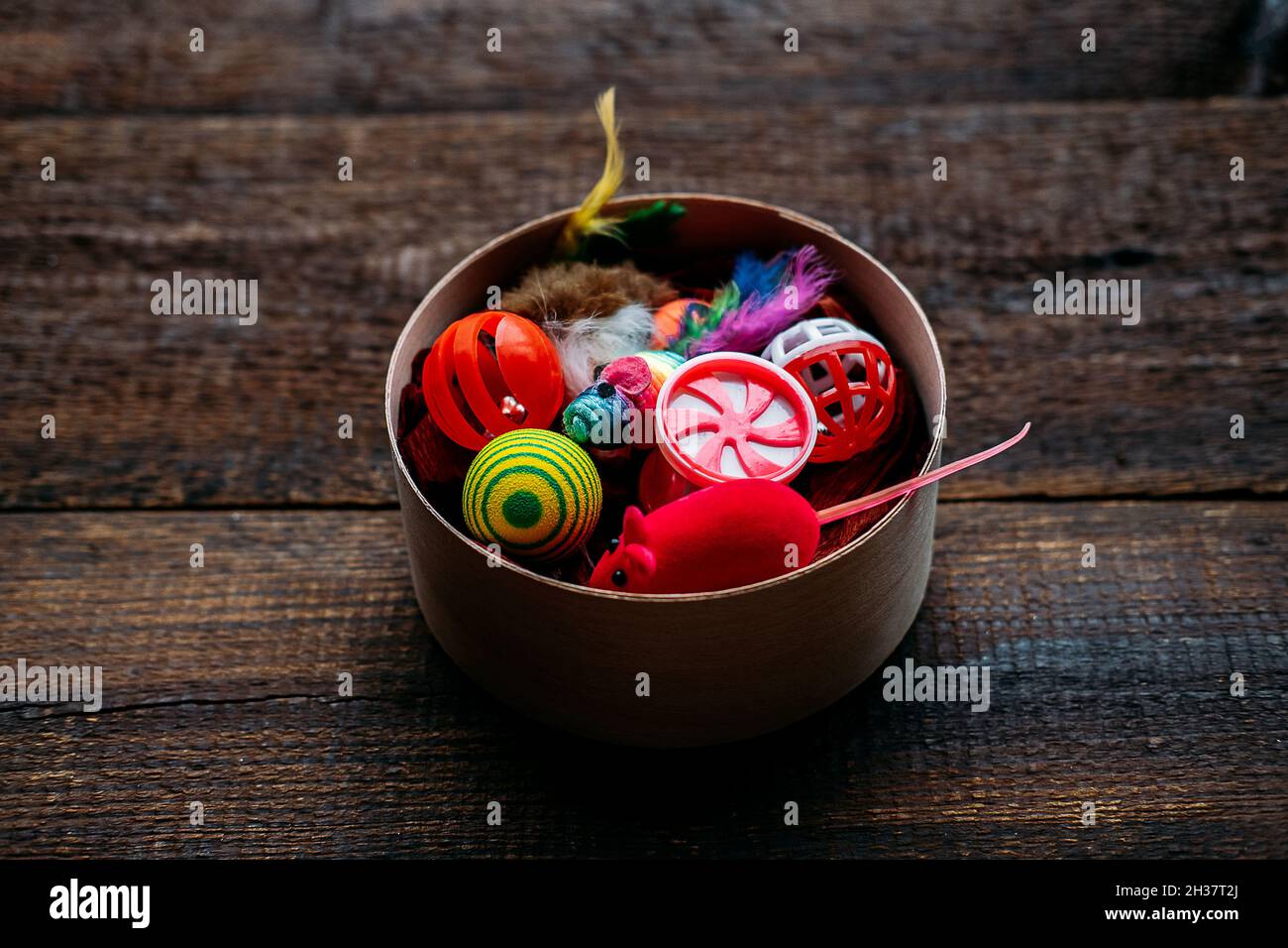 Giocattoli per animali domestici. Molti giocattoli e palle per cane e gatto su sfondo di legno. Palline varie, mouse giocattolo, ossa per giocare e allenarsi Foto Stock